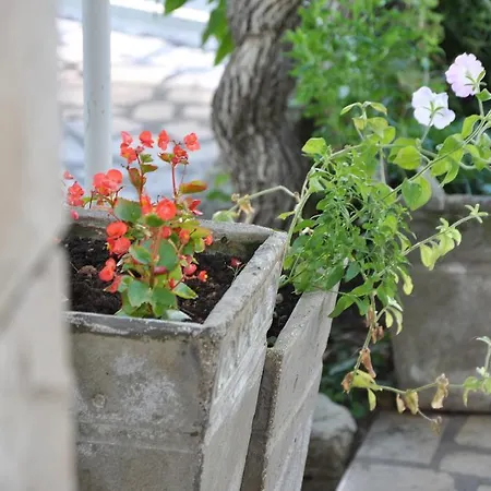 Apartman Jole Póla